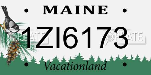 1ZI6173 Maine License Plate