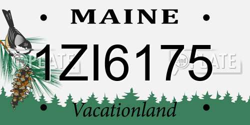 1ZI6175 Maine License Plate