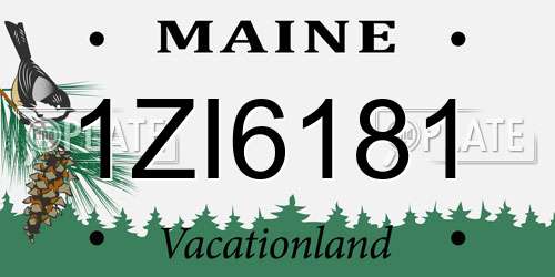 1ZI6181 Maine License Plate