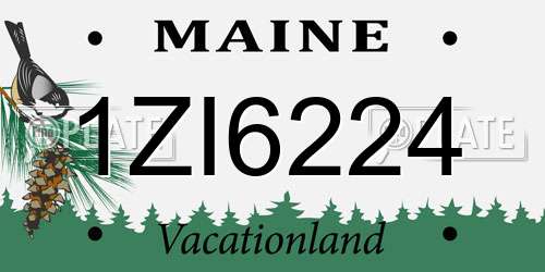 1ZI6224 Maine License Plate