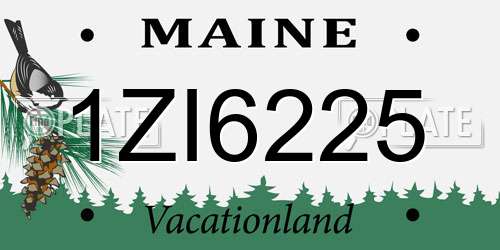 1ZI6225 Maine License Plate