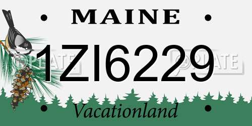 1ZI6229 Maine License Plate