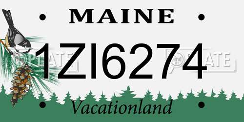 1ZI6274 Maine License Plate