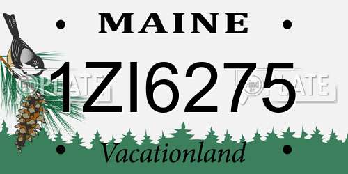 1ZI6275 Maine License Plate