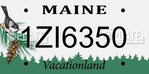 1ZI6350 Maine License Plate
