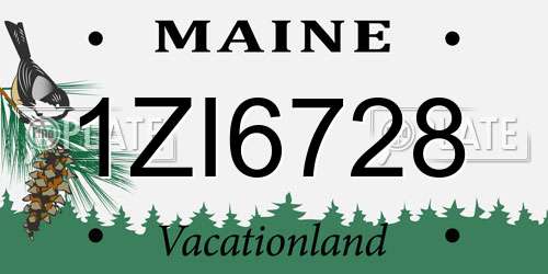 1ZI6728 Maine License Plate