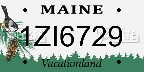 1ZI6729 Maine License Plate