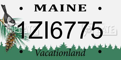 1ZI6775 Maine License Plate