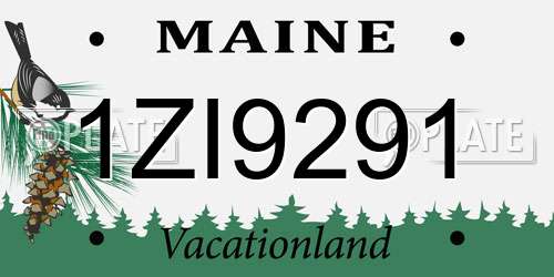 1ZI9291 Maine License Plate