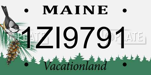 1ZI9791 Maine License Plate