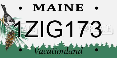 1ZIG173 Maine License Plate