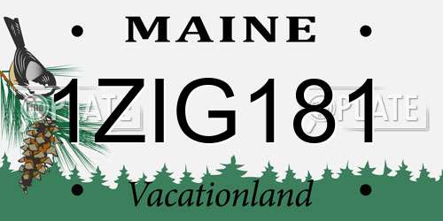 1ZIG181 Maine License Plate