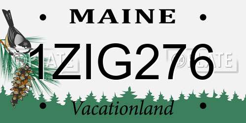 1ZIG276 Maine License Plate