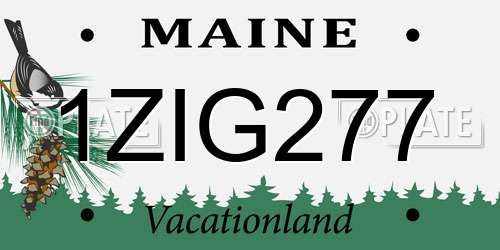1ZIG277 Maine License Plate