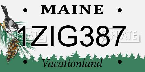 1ZIG387 Maine License Plate