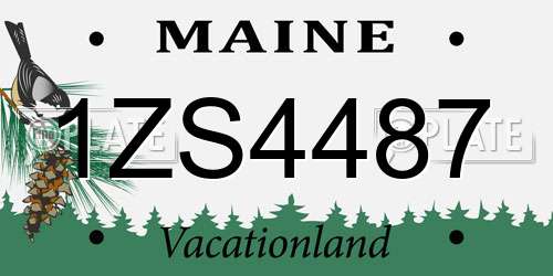 1ZS4487 Maine License Plate