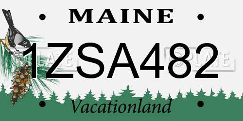 1ZSA482 Maine License Plate