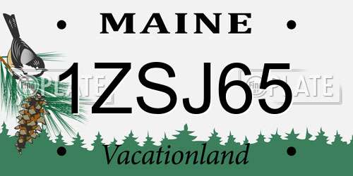 1ZSJ65 Maine License Plate