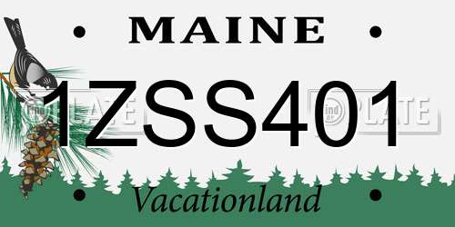 1ZSS401 Maine License Plate