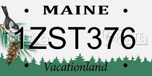 1ZST376 Maine License Plate