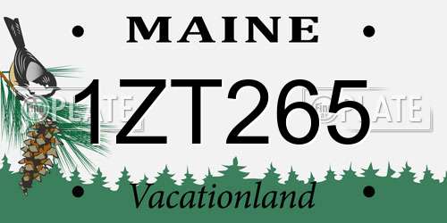 1ZT265 Maine License Plate