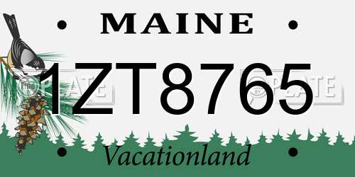 1ZT8765 Maine License Plate
