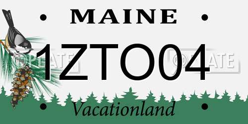 1ZTO04 Maine License Plate