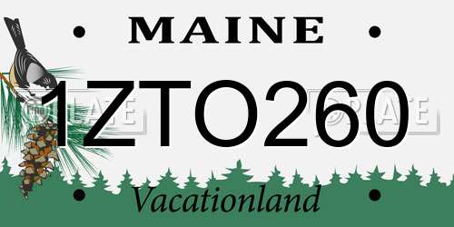 1ZTO260 Maine License Plate