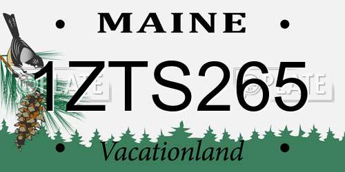 1ZTS265 Maine License Plate