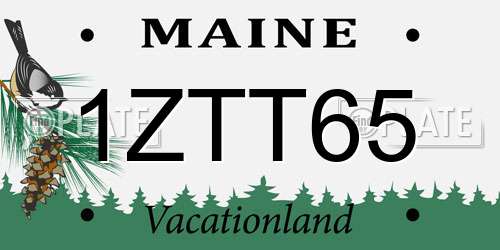 1ZTT65 Maine License Plate