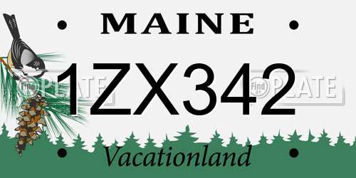 1ZX342 Maine License Plate