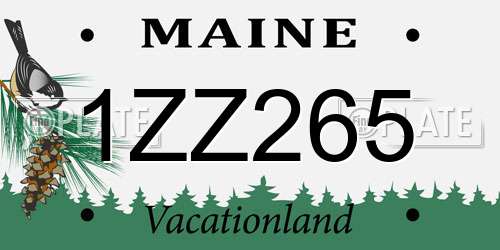 1ZZ265 Maine License Plate