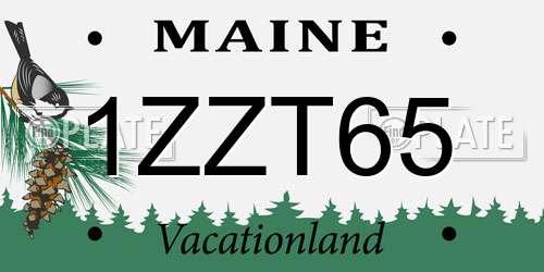 1ZZT65 Maine License Plate