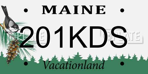 201KDS Maine License Plate