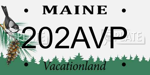 202AVP Maine License Plate