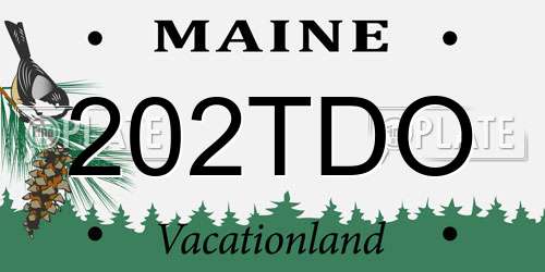 202TDO Maine License Plate