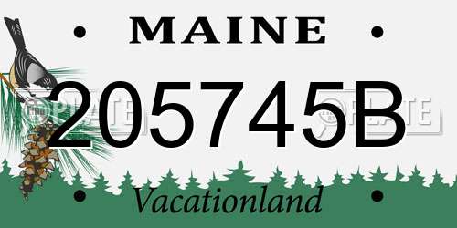205745B Maine License Plate