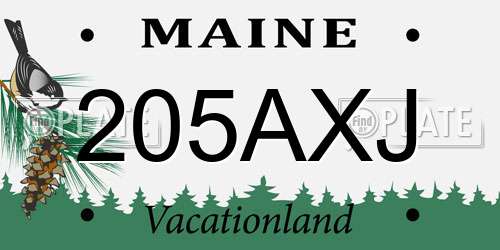 205AXJ Maine License Plate