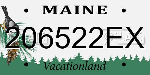 206522EX Maine License Plate