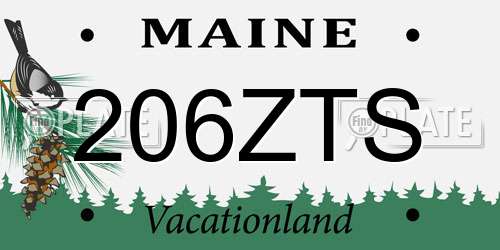 206ZTS Maine License Plate