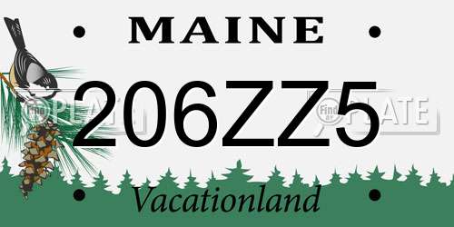 206ZZ5 Maine License Plate