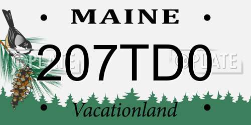 207TD0 Maine License Plate