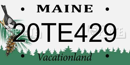 20TE429 Maine License Plate