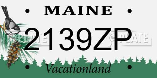 2139ZP Maine License Plate