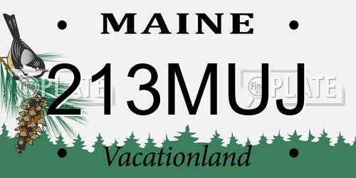 213MUJ Maine License Plate