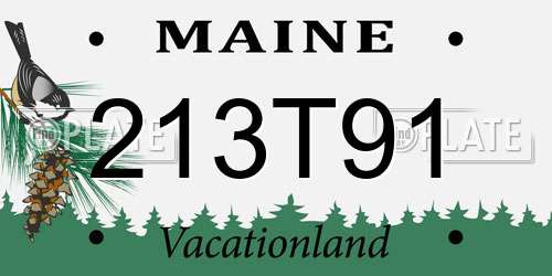 213T91 Maine License Plate