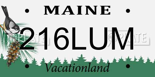 216LUM Maine License Plate