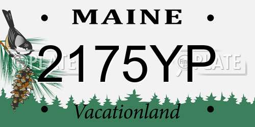 2175YP Maine License Plate