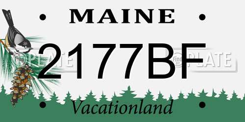 2177BF Maine License Plate