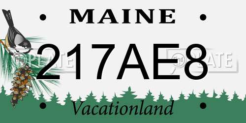 217AE8 Maine License Plate